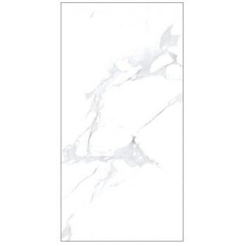 ΠΛΑΚΑΚΙ SMOKE WHITE 60 X 120 